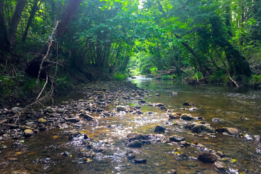 Charmantes Ferienhaus in Ciciano mit Grill, Garten und gemeinsamem Pool und Pan - foto 32