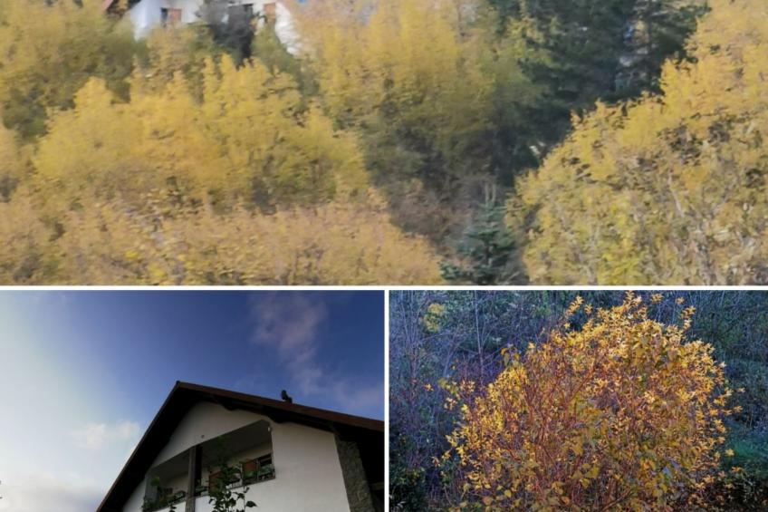 Chalet 'Perle des Höhenweges'