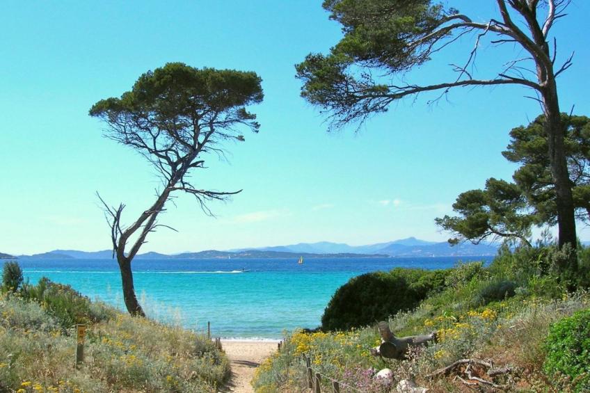 in Strandnähe - foto 17