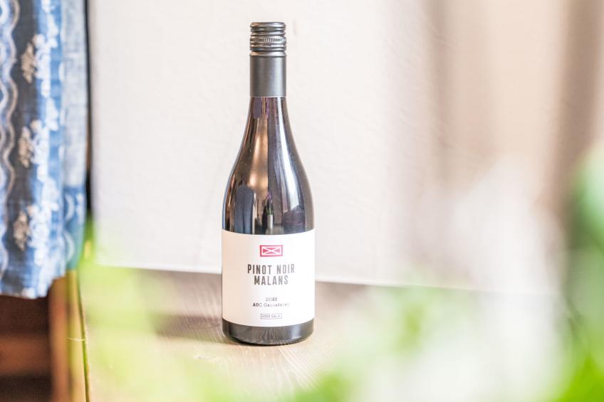 Chesa Michel Roseg - foto 24