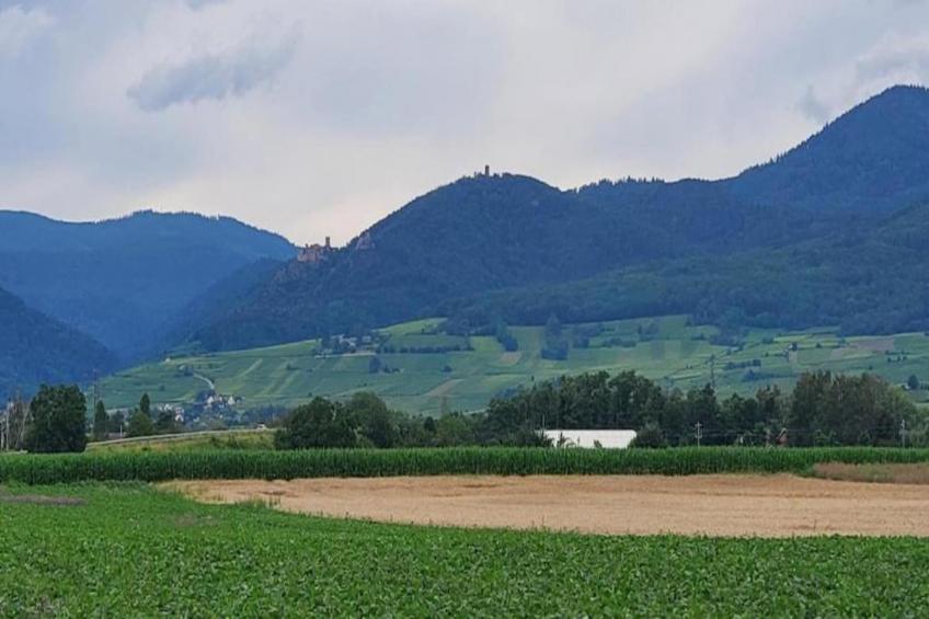 Le Domaine des Rois - foto 31