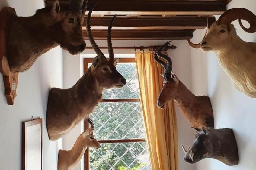 "Haus St. Bernhard - foto 32