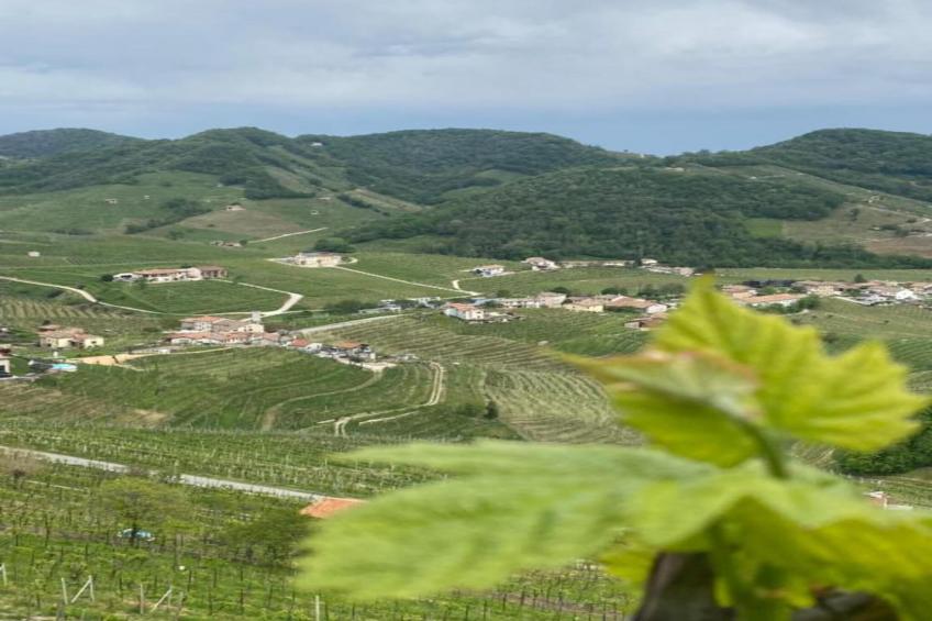 Le Do None Due - foto 29