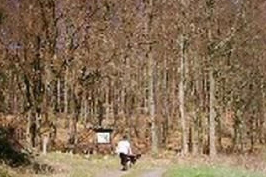 FEWO Juliana - foto 13