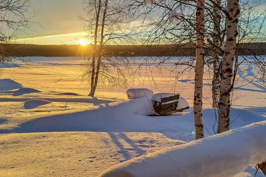 Koivulahden reinola - foto 40