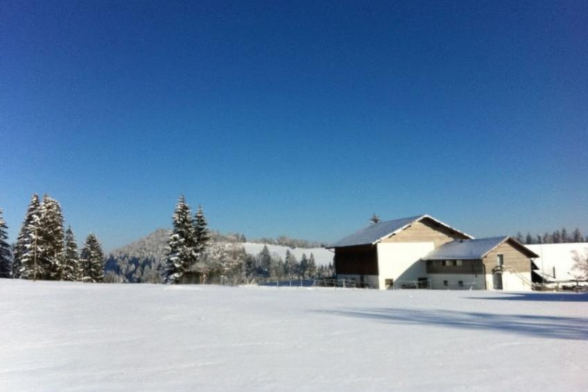 Appartement - Carpe Diem, (Saignelegier), - foto 8
