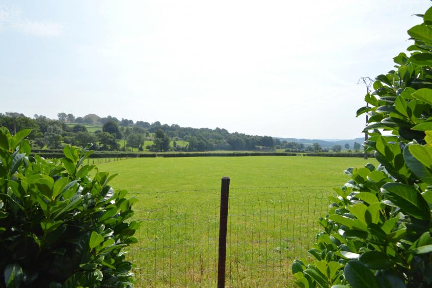 Remonval G - foto 35