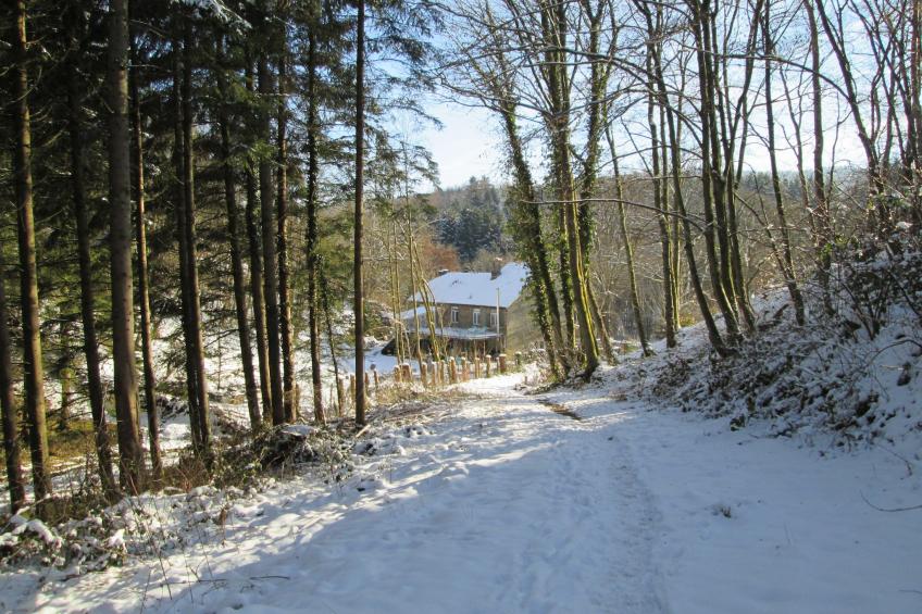 Le reve du sanglier - foto 23
