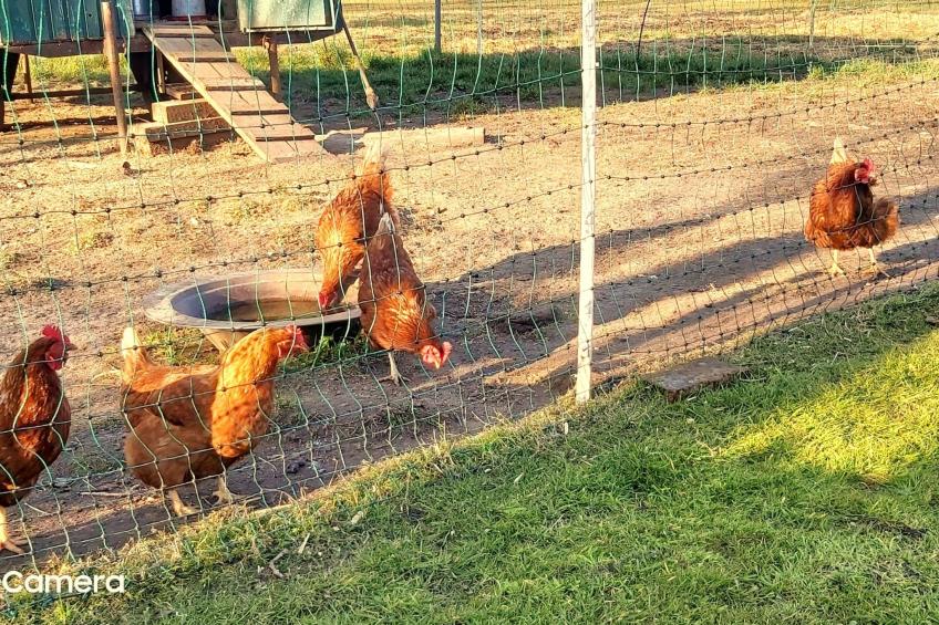 Över de Loh - foto 20