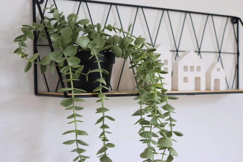 Eifel-Finca mit Whirlpool und Gartenlounge - foto 34