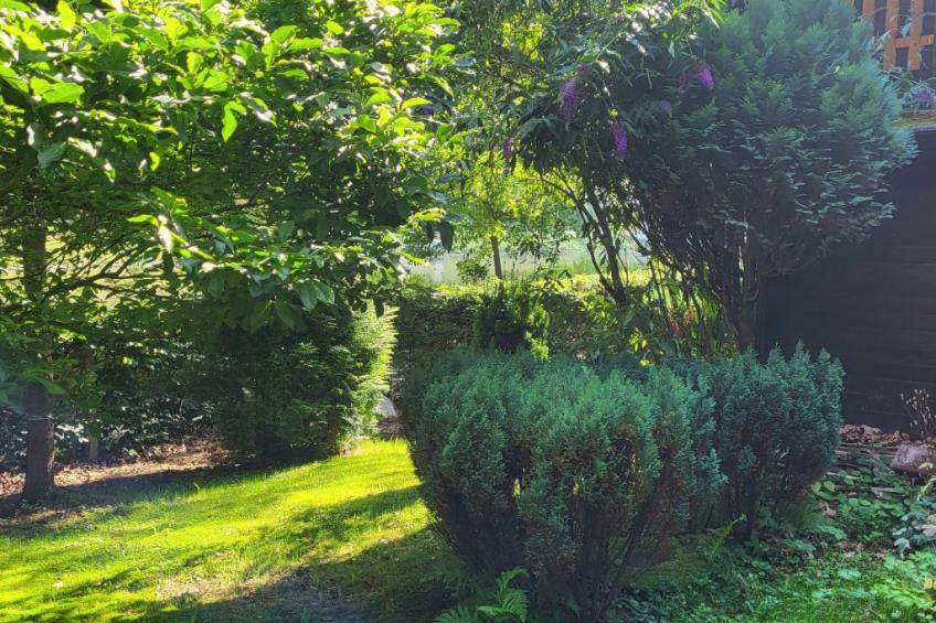 Holzhäusl - foto 17