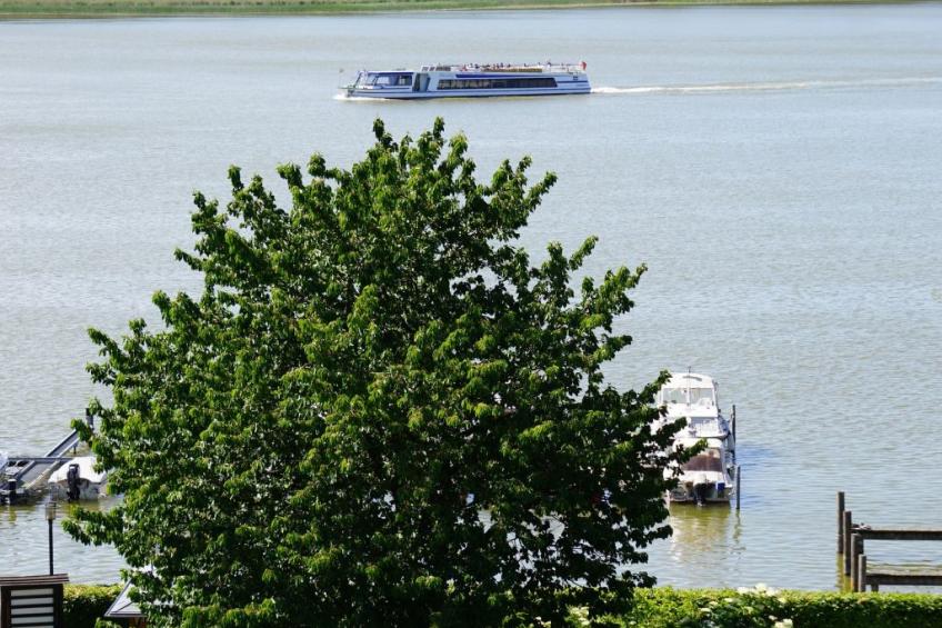 mit Blick auf das Wasser - foto 6