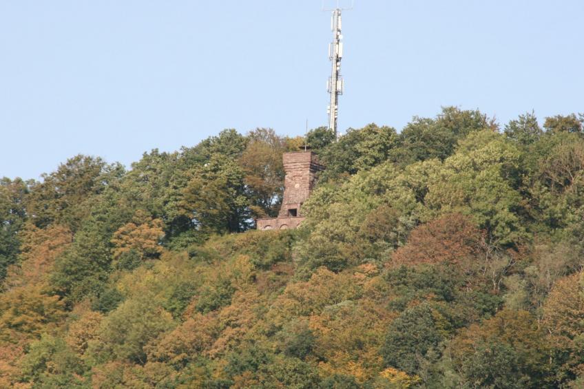 Apartment mit Hund - foto 14