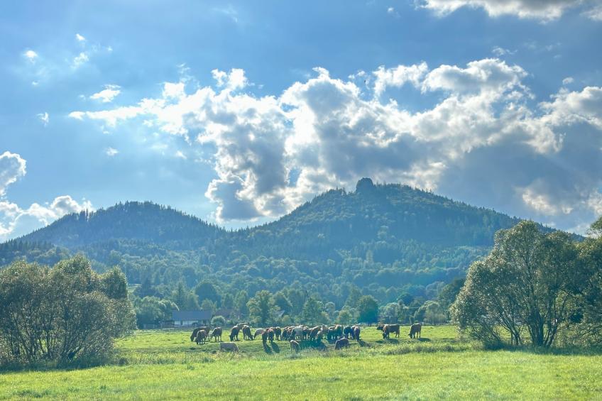 für eine Familie mit Kindern - foto 16