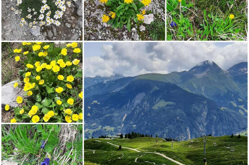 Tscheppa B - foto 14