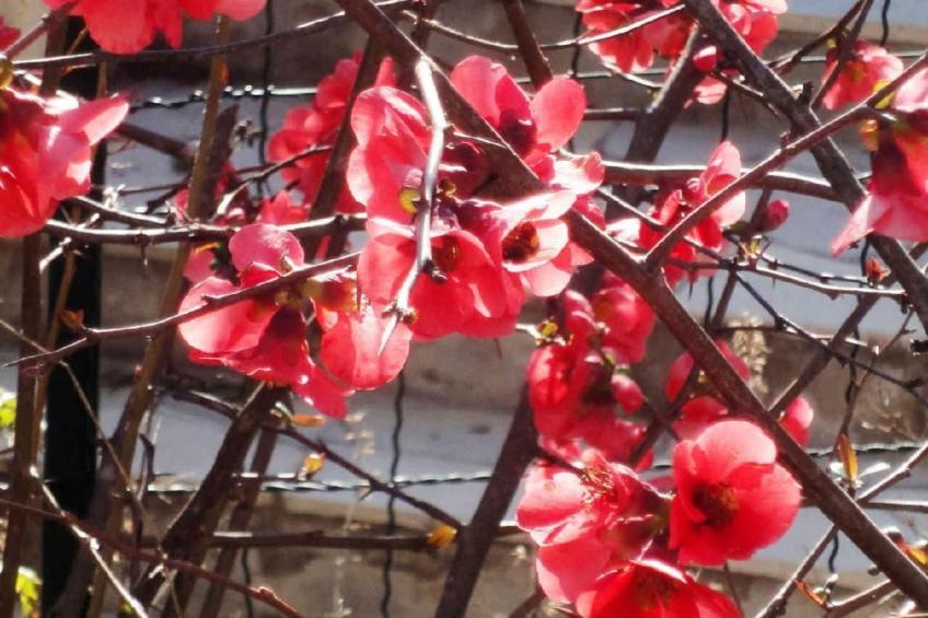 Locations-06 - Die Eugenie - foto 43