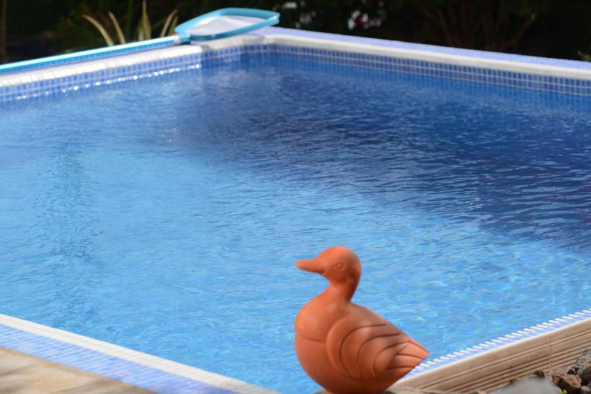 mit Schwimmbad nur für Erwachsene - foto 15