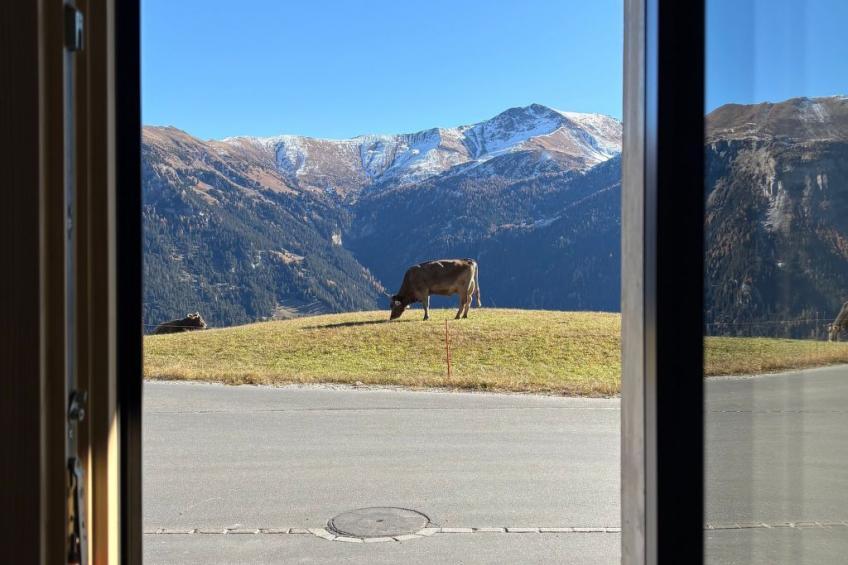 Poste viglia - foto 7