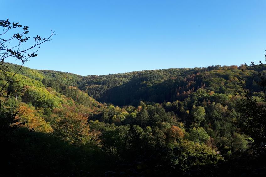 Double Room - foto 20