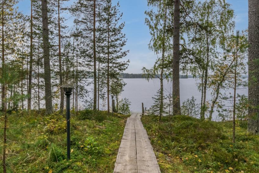 Metsola / huilinpaikka - foto 27