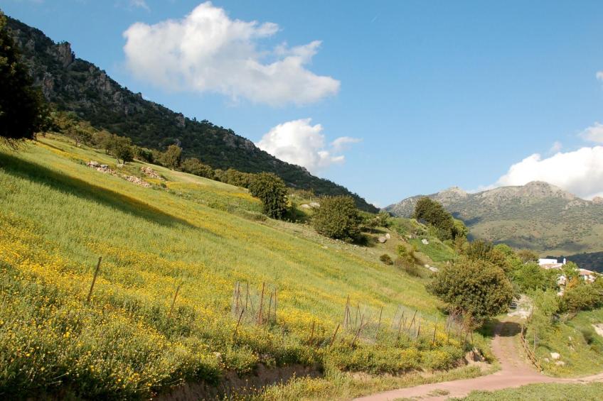 Villa 'Lagarin' mit Terrasse - foto 31