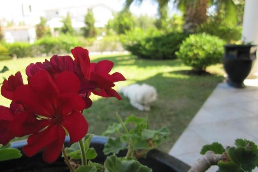 Gemütliche Wohnung in Pallini mit Eigenem Balkon - foto 16