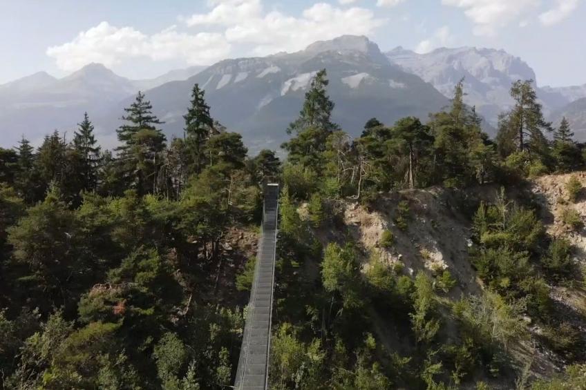 Chalet Oase - foto 28