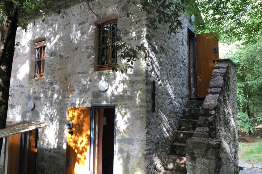 Kirschbäume, eine Oase im Wald zwischen Meer und Natur