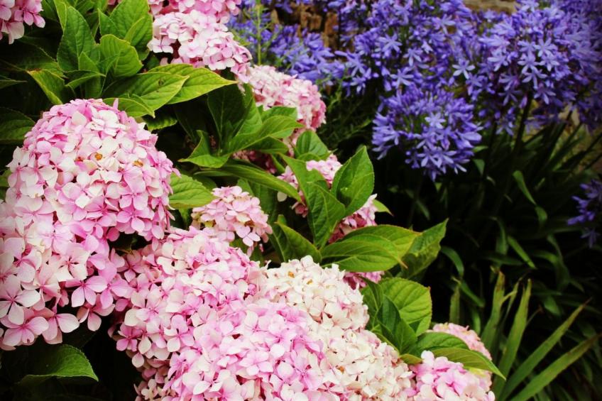 "KerMamGoz" in Strandnähe - foto 16