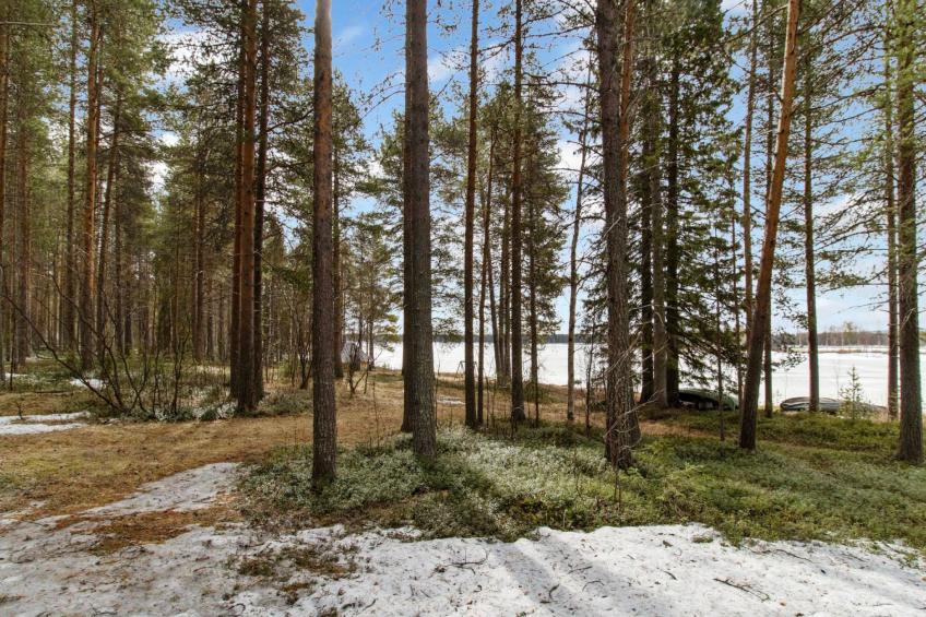 Keloaitta - foto 26