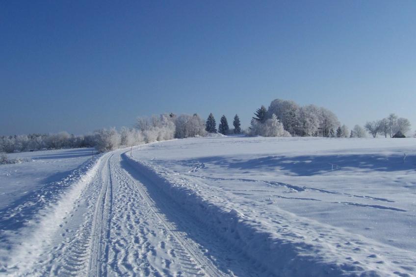 Ferienhaus - foto 20