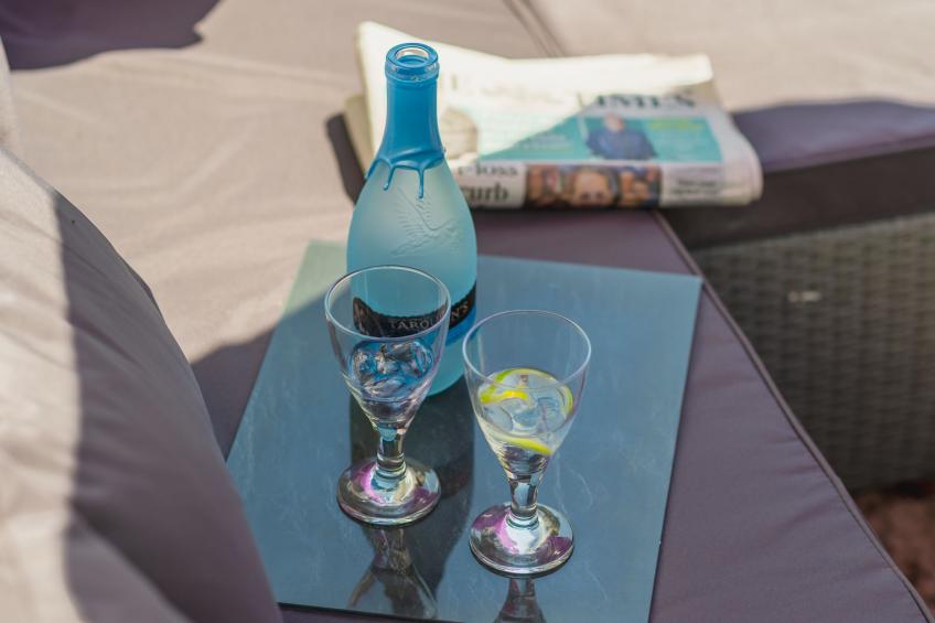 The Birches - foto 9