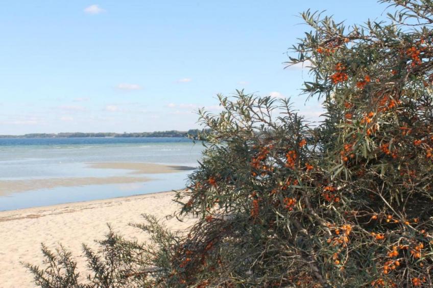 Ostseewind - foto 24