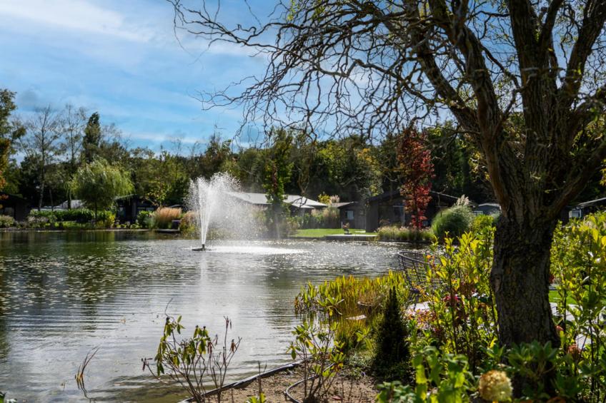 Vakantiepark Molenvelden 9 - foto 38