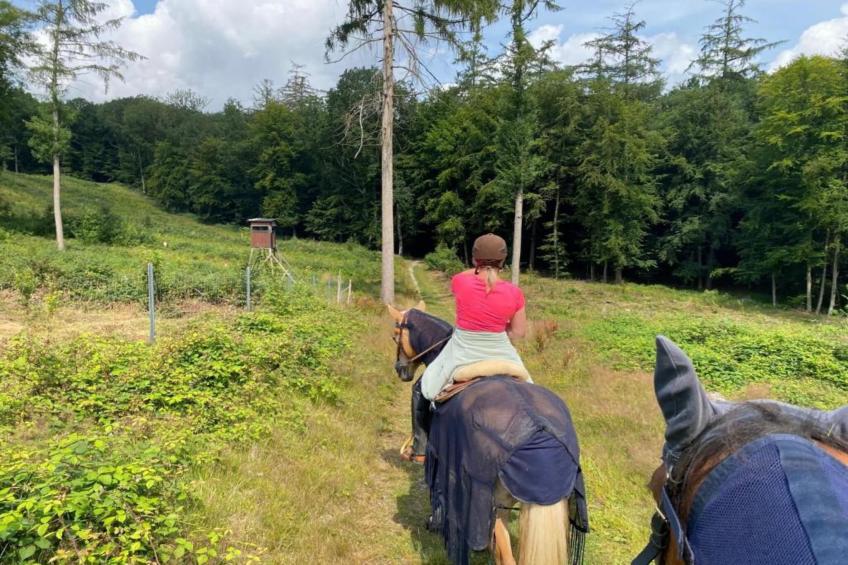 Im Teutoburger Wald - foto 22