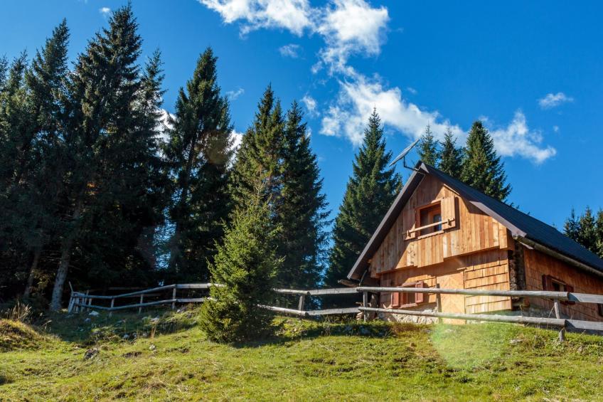 Holiday house Pokljuka - Bohinj - foto 14