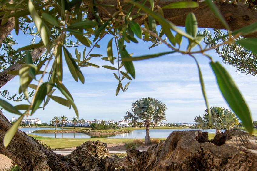 "Casa La Torre" mit Wallbox - foto 20