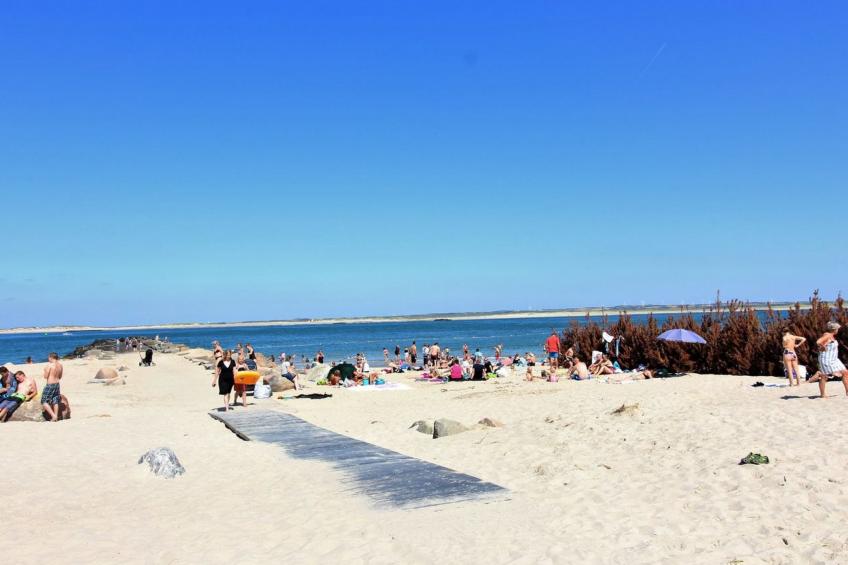 "Eluisa" - 300m from the sea in Western Jutland - foto 12