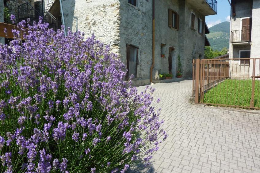 Kleine Perle im Livo-Tal - foto 32