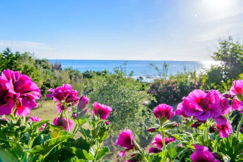 Villa Saline- Villa am Meer - foto 32