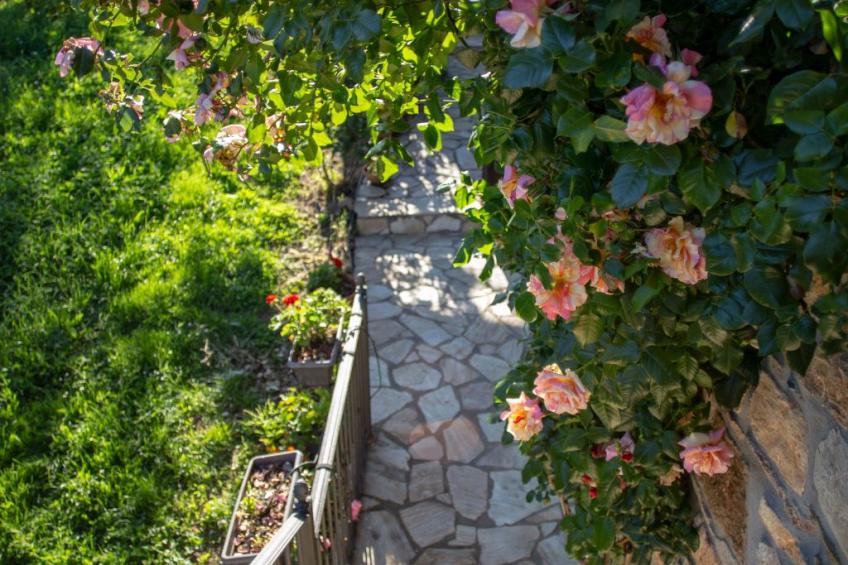 Ländliches Haus Ruralmedulas, 10 Personen - foto 8