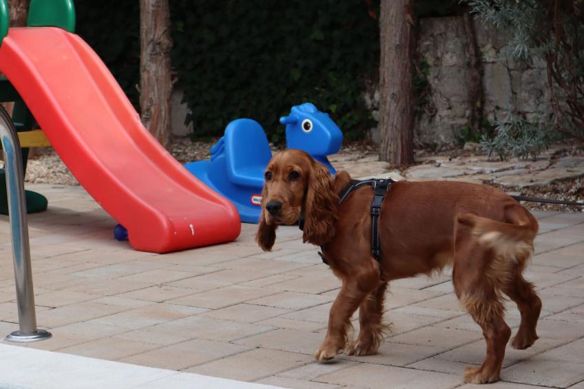 Art House Rovinj-Holiday - foto 34