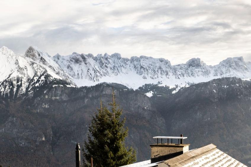 Mätzwiesen Höckli (CharmingStay), (Flumserberg Tannenheim), - foto 45