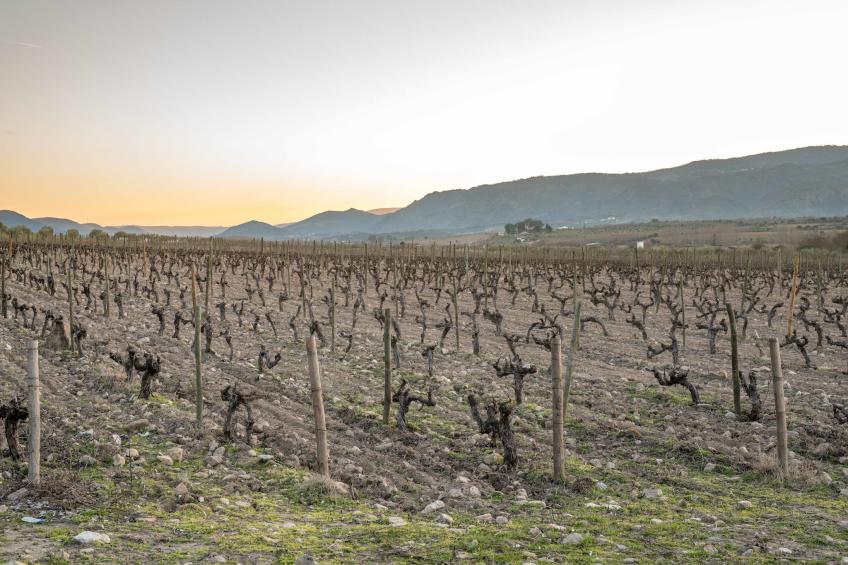 Casa do Caseiro - foto 29