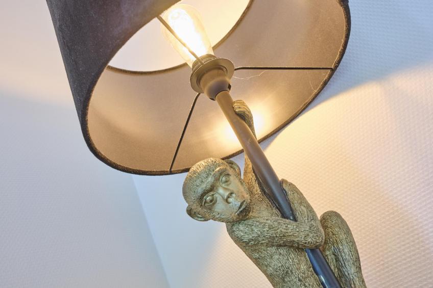 Steltloper - foto 38