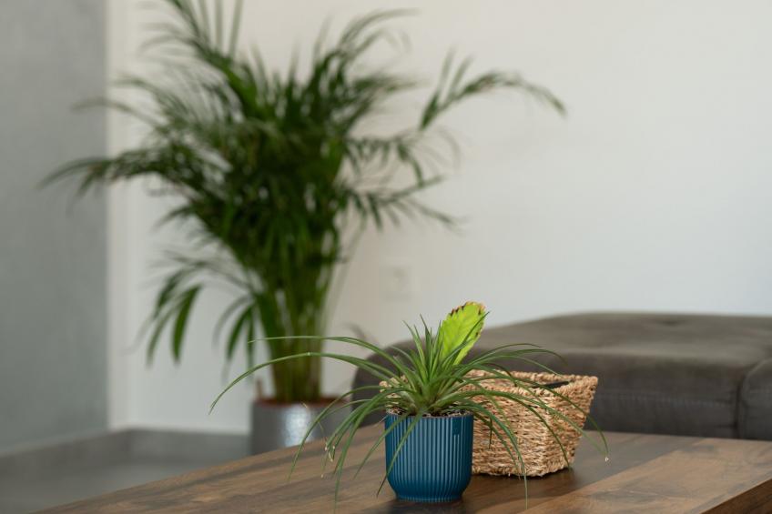 Moderne Villa bei Barban - foto 33