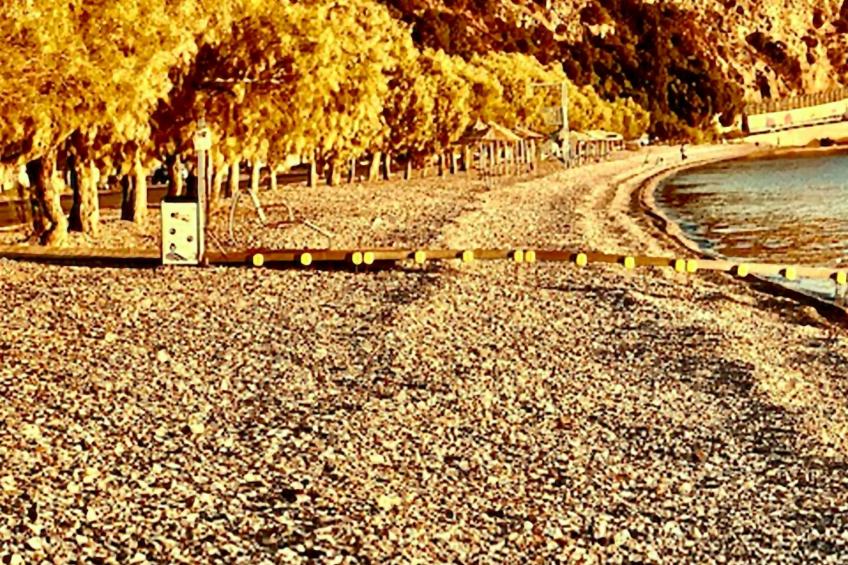 Spiti Louloudia - foto 39