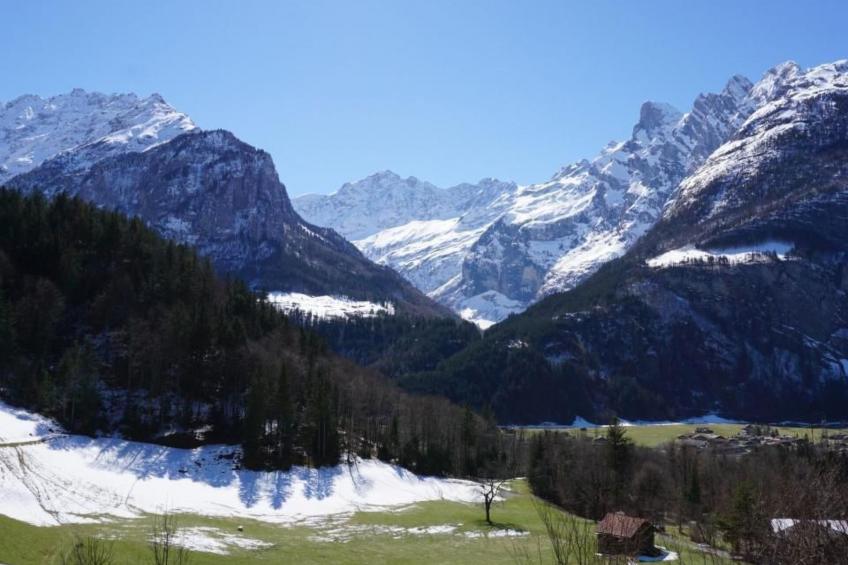 Chalet Alpen Lotus - foto 24