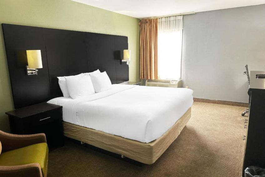 King Bed Accessible - foto 13