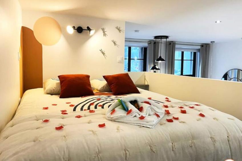 L'orient-express - Jacuzzi Spa - Parking - Loft - foto 20